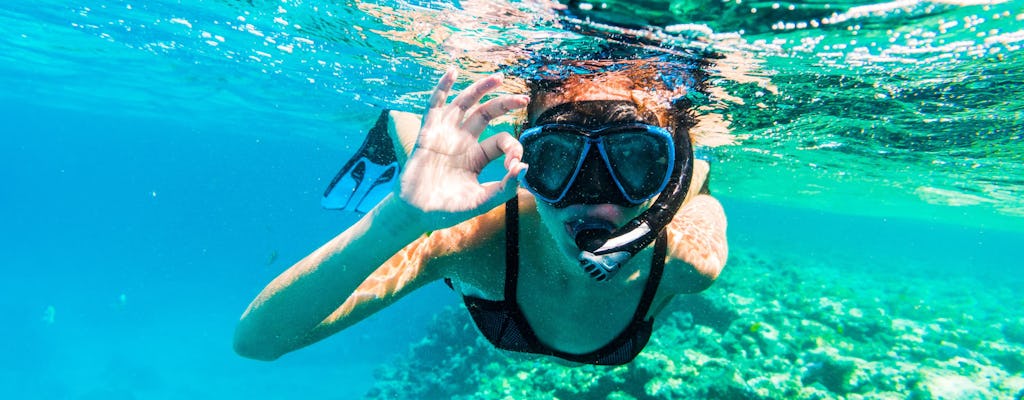 Viaggio di snorkeling con trasferimento di andata e ritorno da Dubai