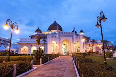 Le sette meraviglie del tour privato della città di Penang