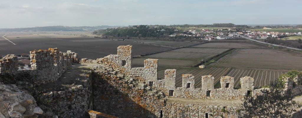 Excursie naar Figueira da Foz, rijstvelden en zoutpannen vanuit Coimbra