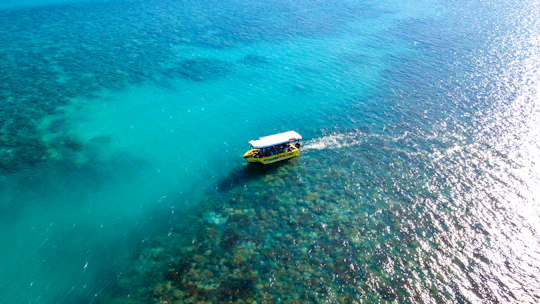 Airlie Beach glass bottom boat tour