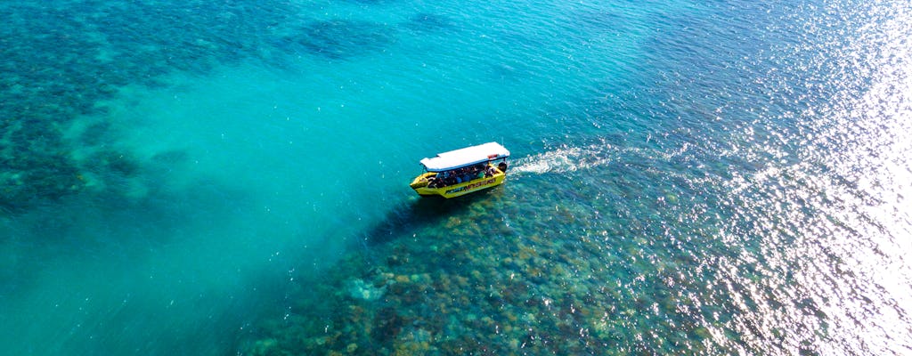 Airlie Beach: Tour mit dem Glasbodenboot