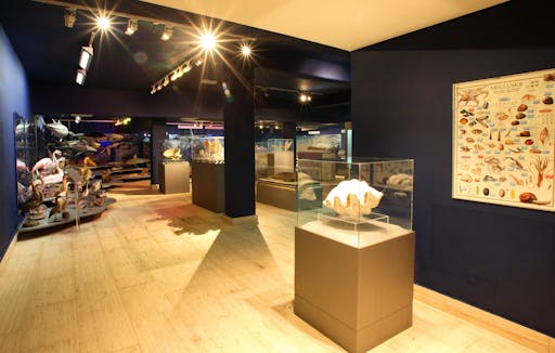 Thalassa Museum Ayia Napa Ticket