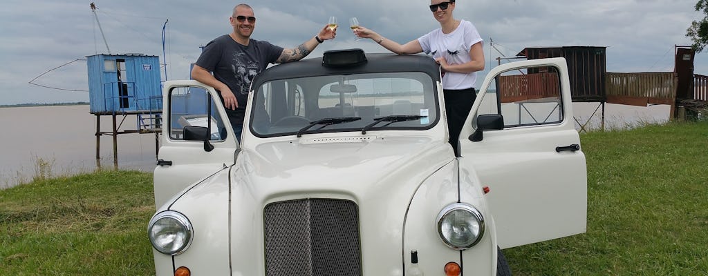 Tour del vino Medoc di mezza giornata da Bordeaux