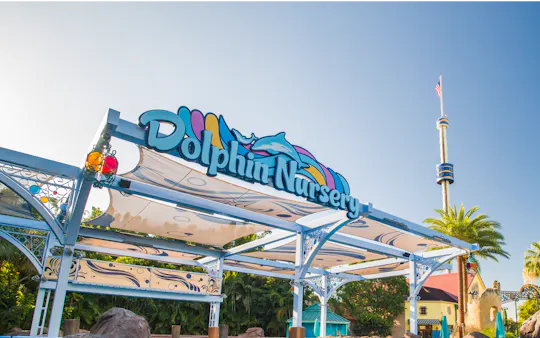 SeaWorld® Orlando Dolphin Encounter