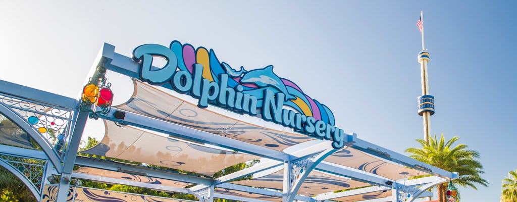 Spotkanie z delfinami SeaWorld® Orlando