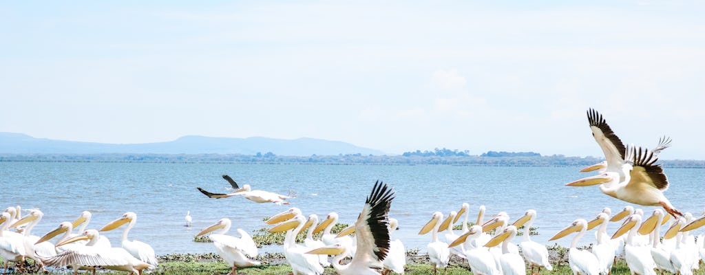 Full-day Lake Naivasha, Hell's Gate, and Crescent Island boat ride tour