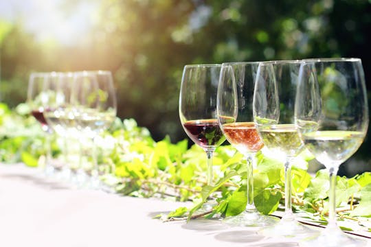 Prywatna wycieczka z degustacją wina Valtenesi