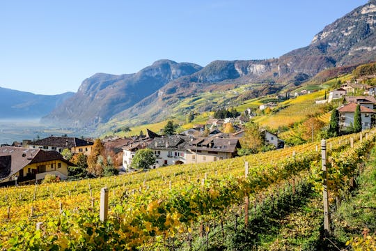 Tour privato con degustazione di vini trentini
