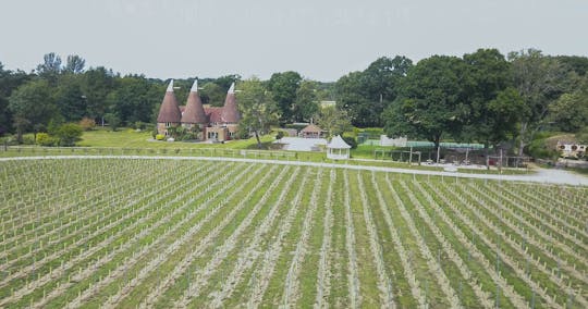 Wijngaardtour en proeverij bij Oastbrook