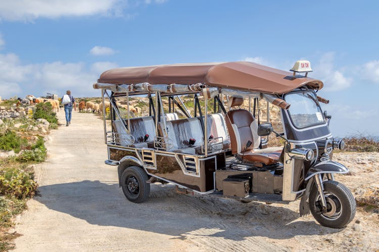 Small Group Tour of Gozo in a Tuk-Tuk