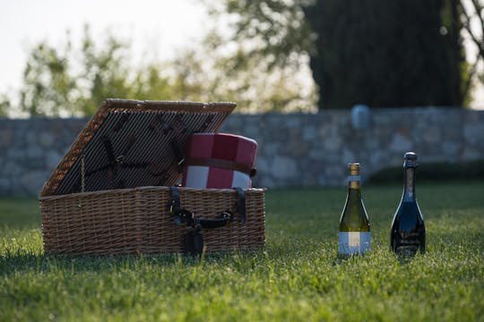 Ruby picnic on the terrace In Verona
