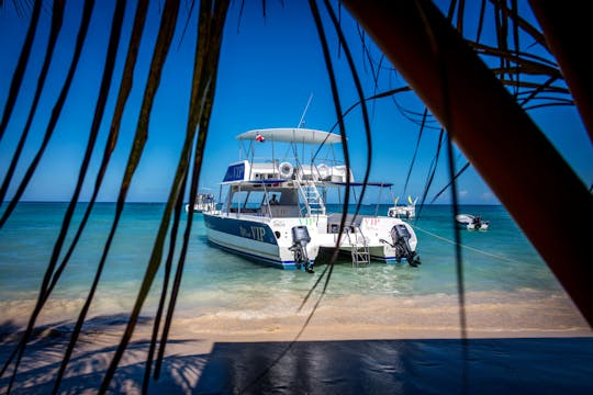 Private Speedboat Paradise Island Tour