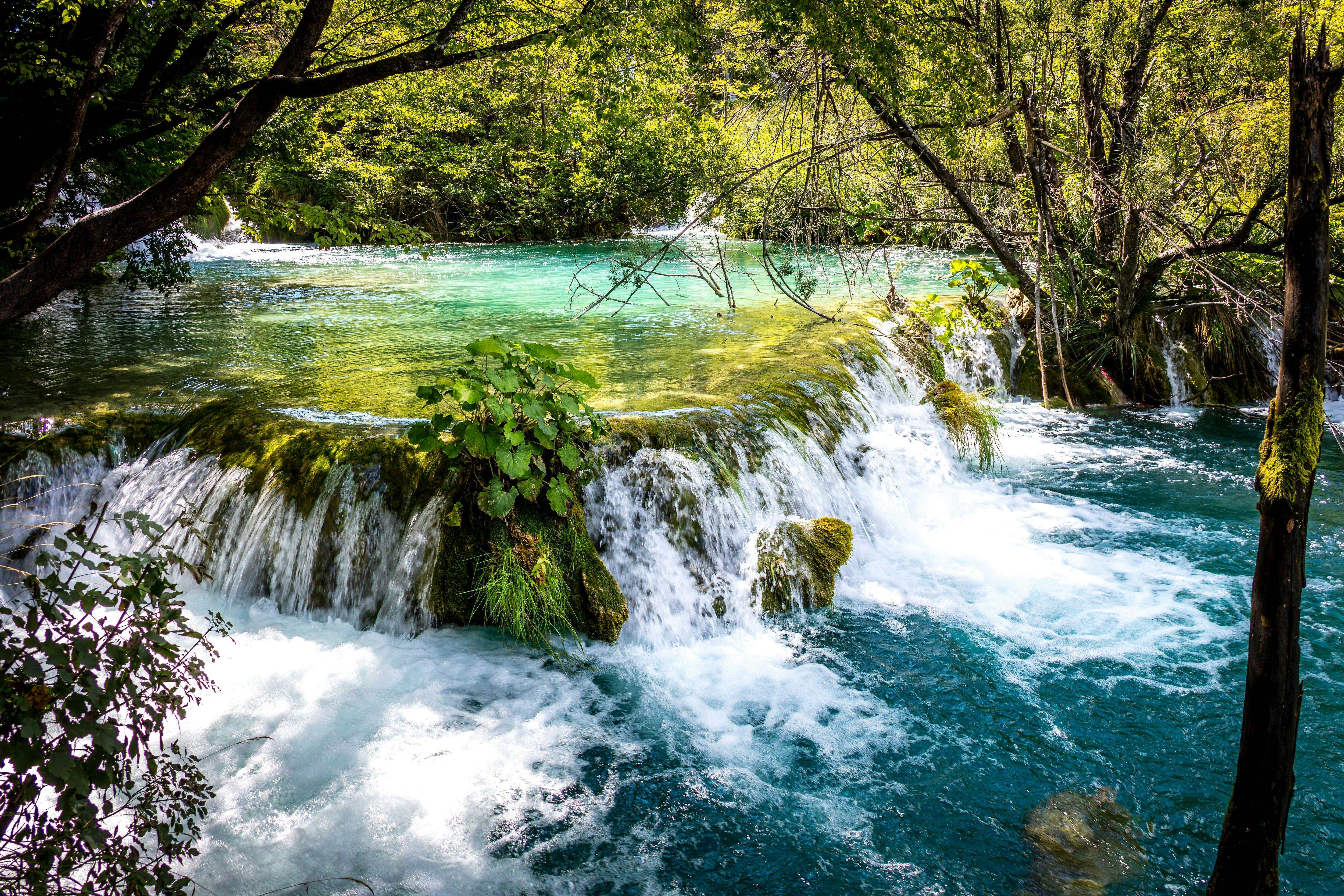 Visite du Parc national des lacs de Plitvice