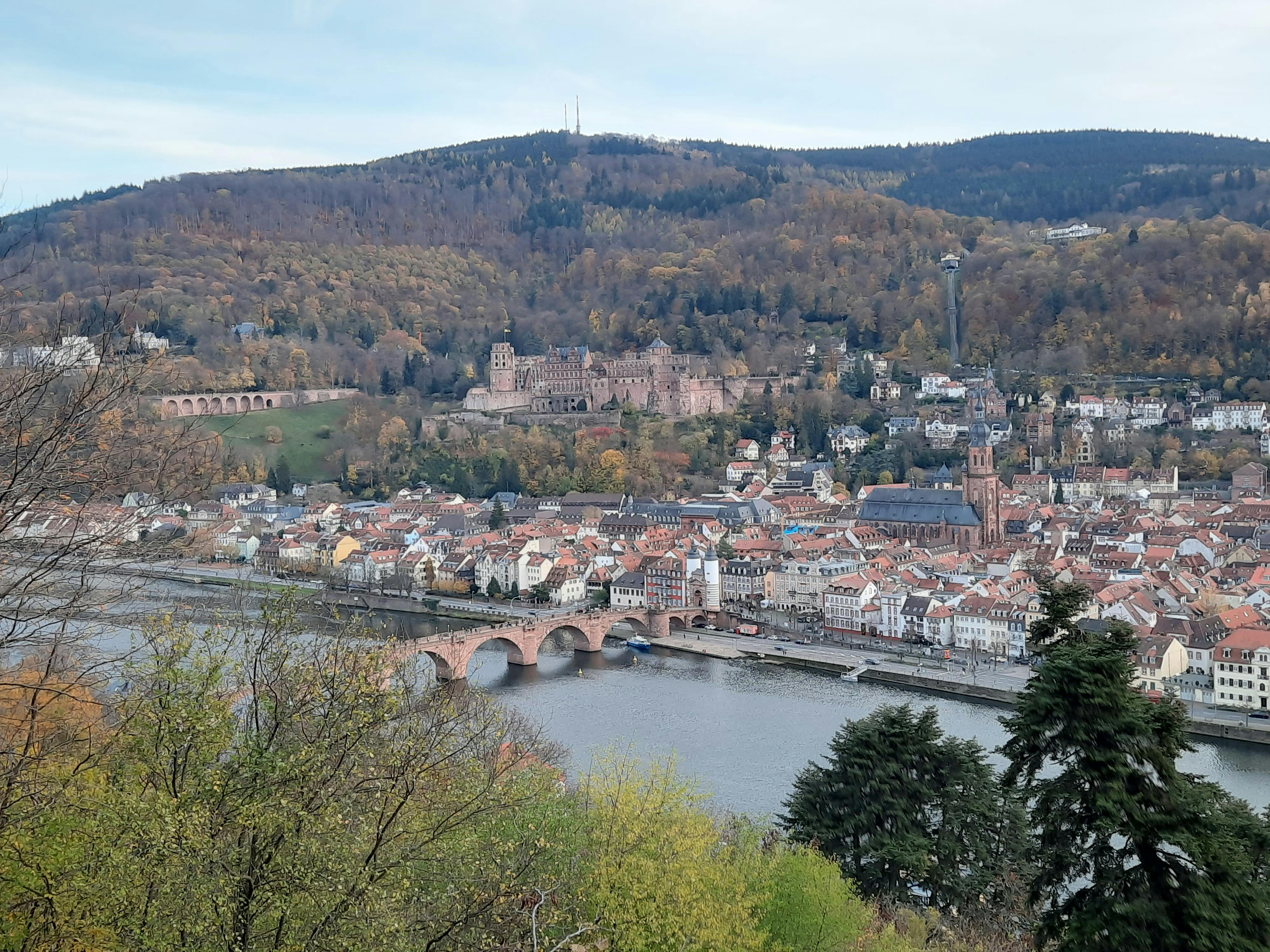 Geführter Rundgang auf Heidelbergs Philosophenweg