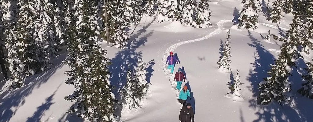 Caminhada com raquetes de neve Whistler por cedros antigos