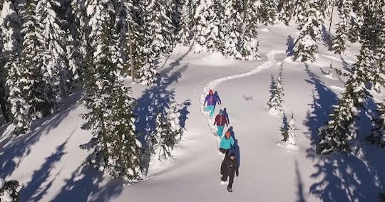 Caminata con raquetas de nieve de Whistler: a través del sendero Ancient Cedars