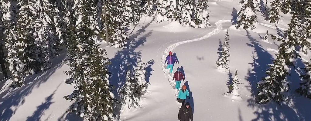 Whistler snowshoe walk - Natural Mystic