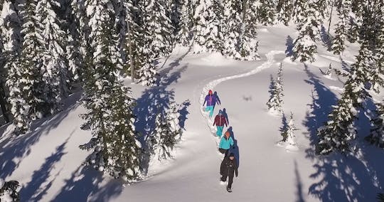 Whistler snowshoe walk - Natural Mystic