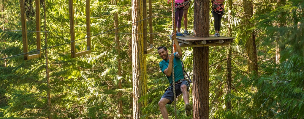 Aerial obstacle course in Cougar Mountain – Advanced course