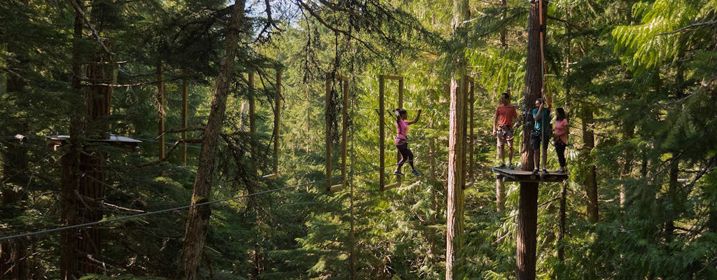 Aerial obstacle course in Cougar Mountain – Beginner course