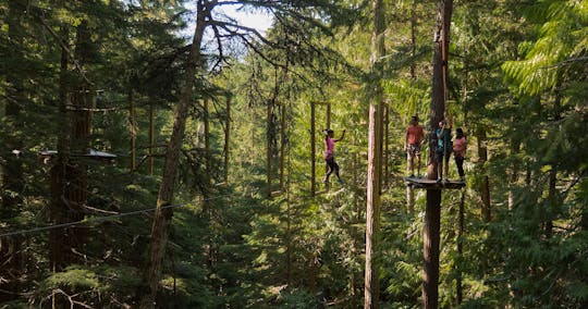 Percurso de obstáculos aéreos na Cougar Mountain - Percurso para iniciantes