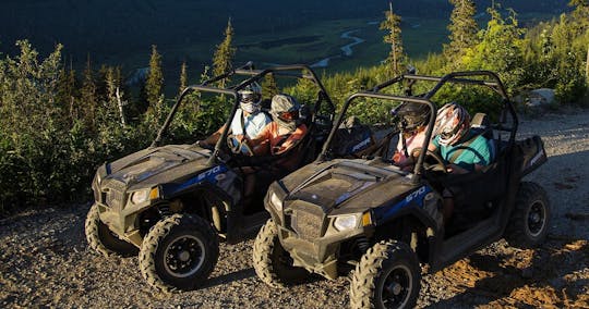 Experiência selvagem UTV off-road RZR - iniciante