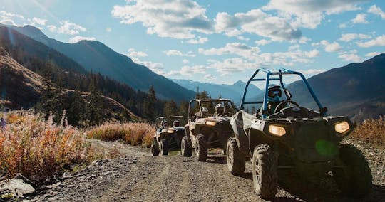 Experiência UTV off-road RZR em torno da Montanha Cougar - Moderada