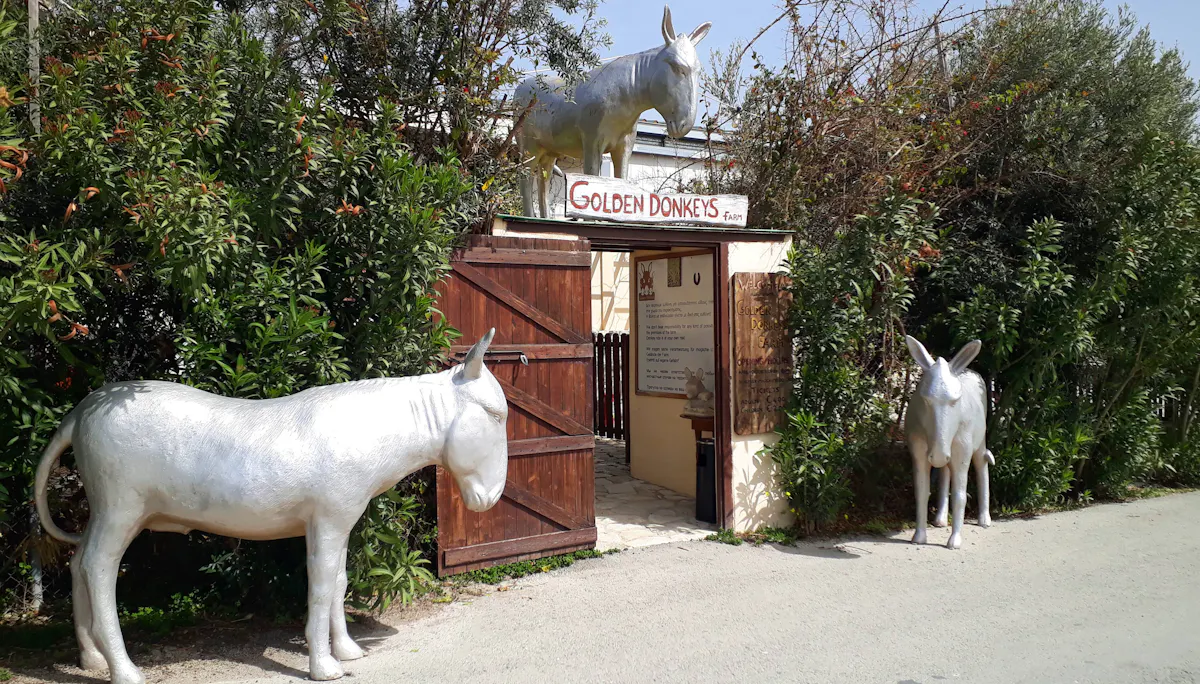 Cyprus Golden Donkey Farm Ticket