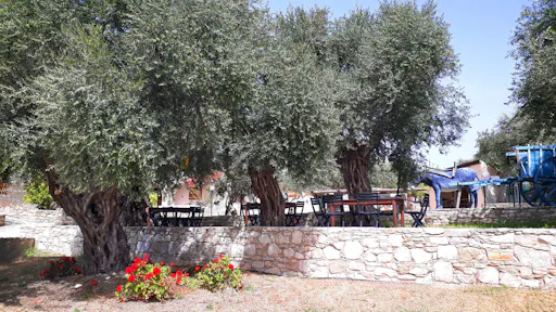 Cyprus Golden Donkey Farm Ticket