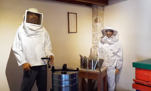 Cyprus Golden Donkey Farm Ticket