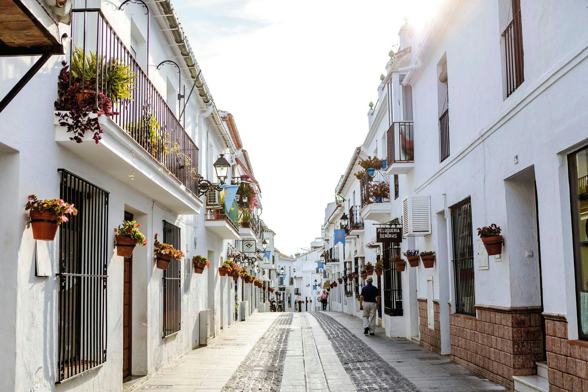 Tour por el casco antiguo de Málaga y el pueblo de montaña de Mijas