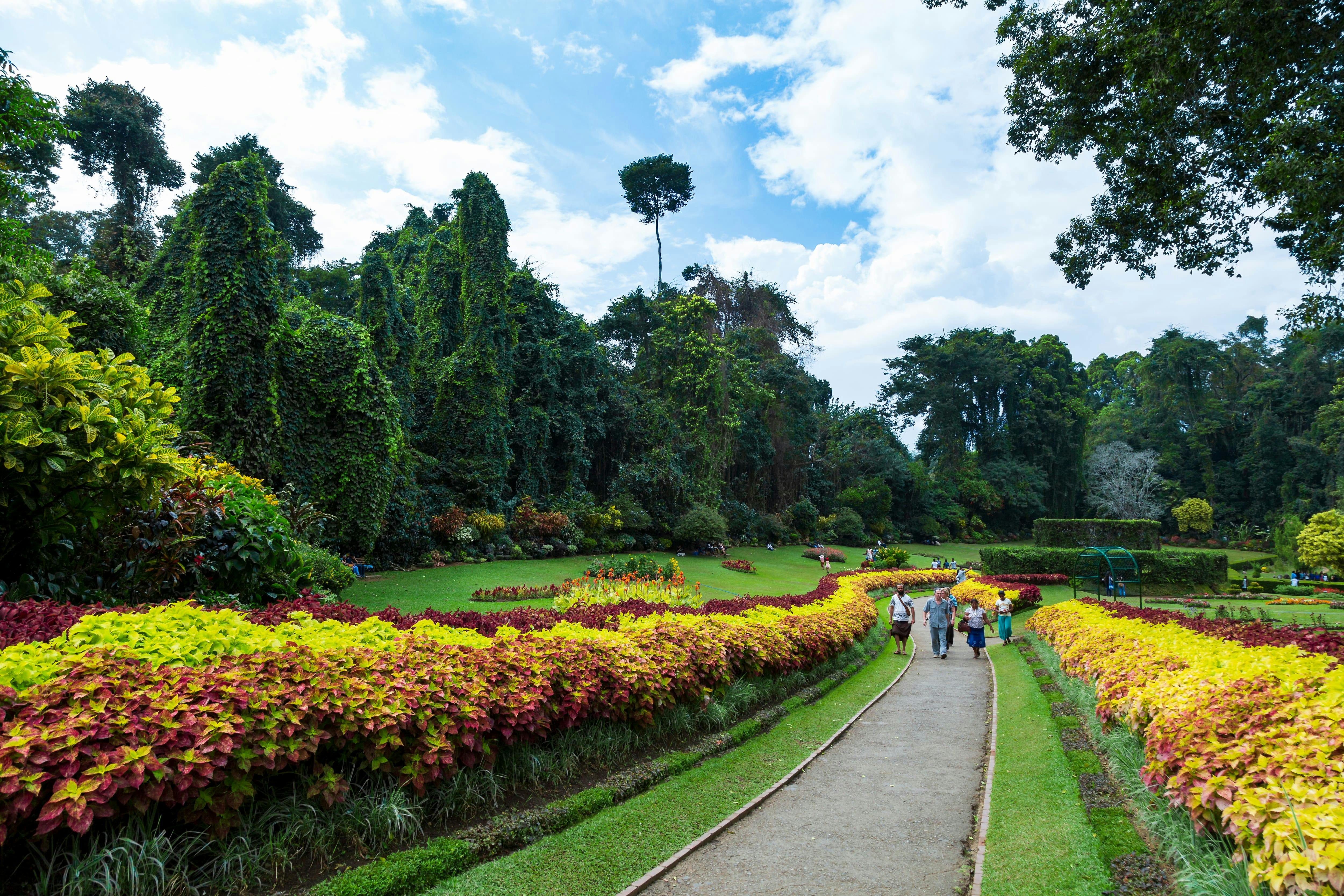 Kandy Tour by Train