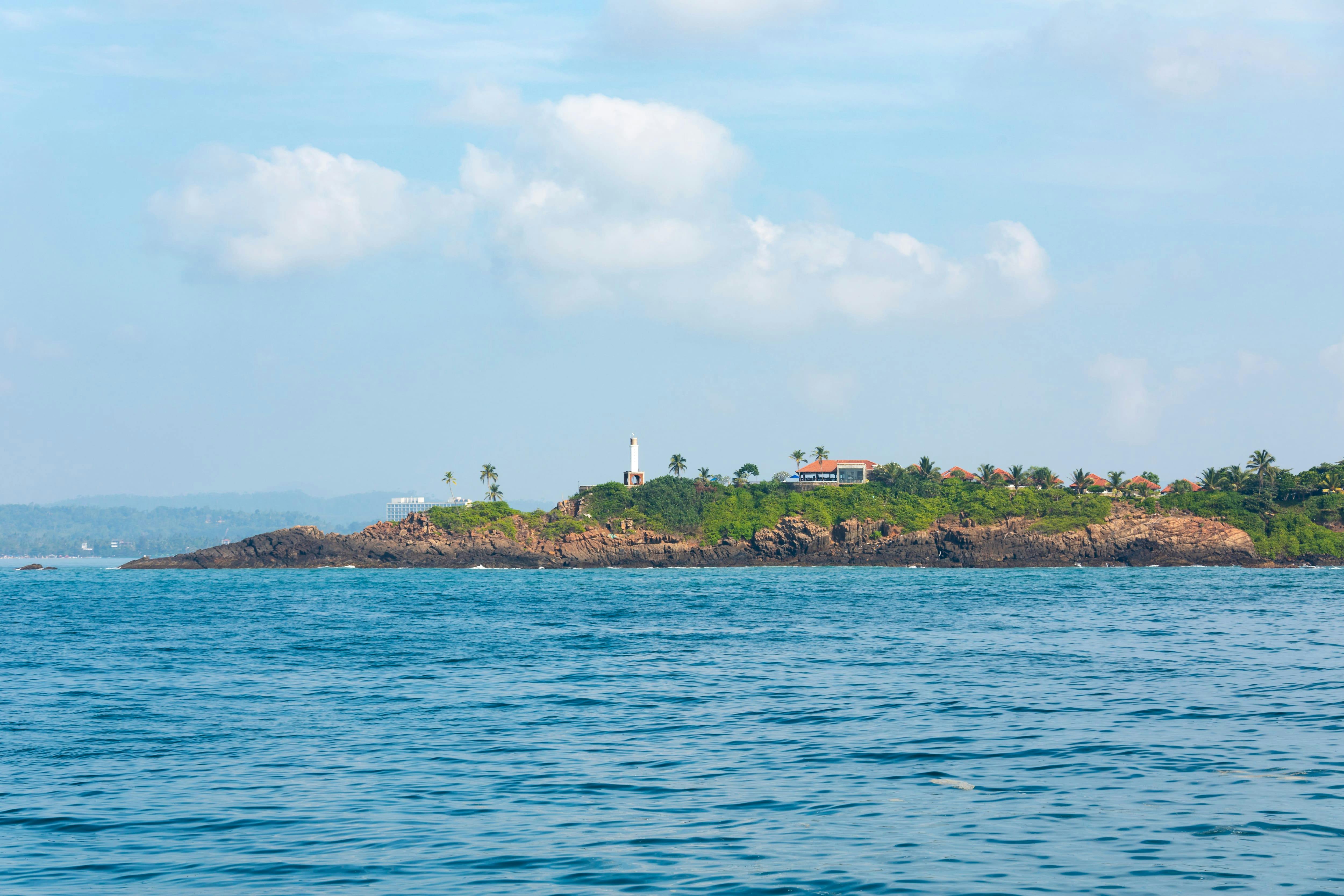 Mirissa Whale Watching Tour