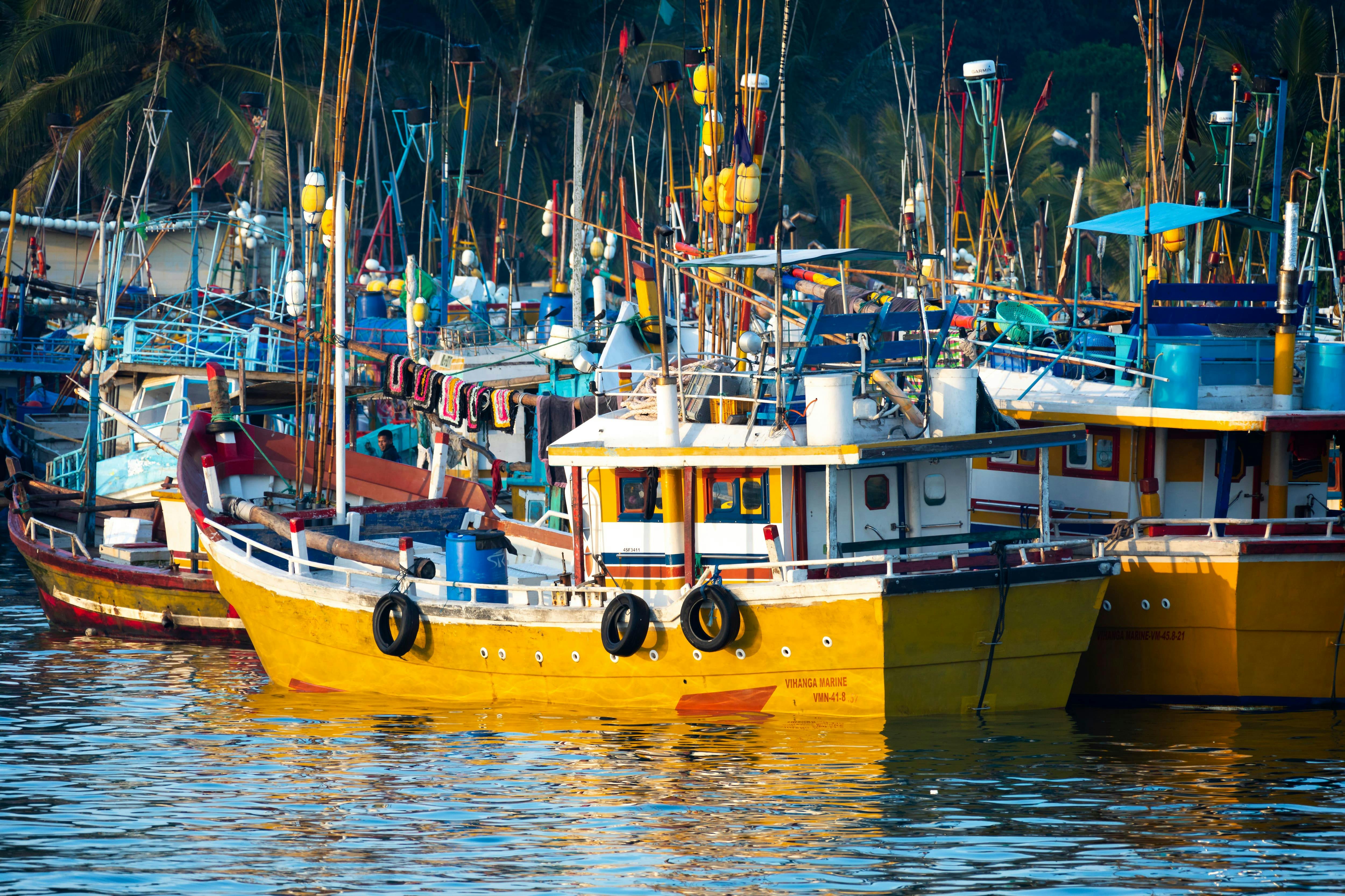 Mirissa Whale Watching Tour