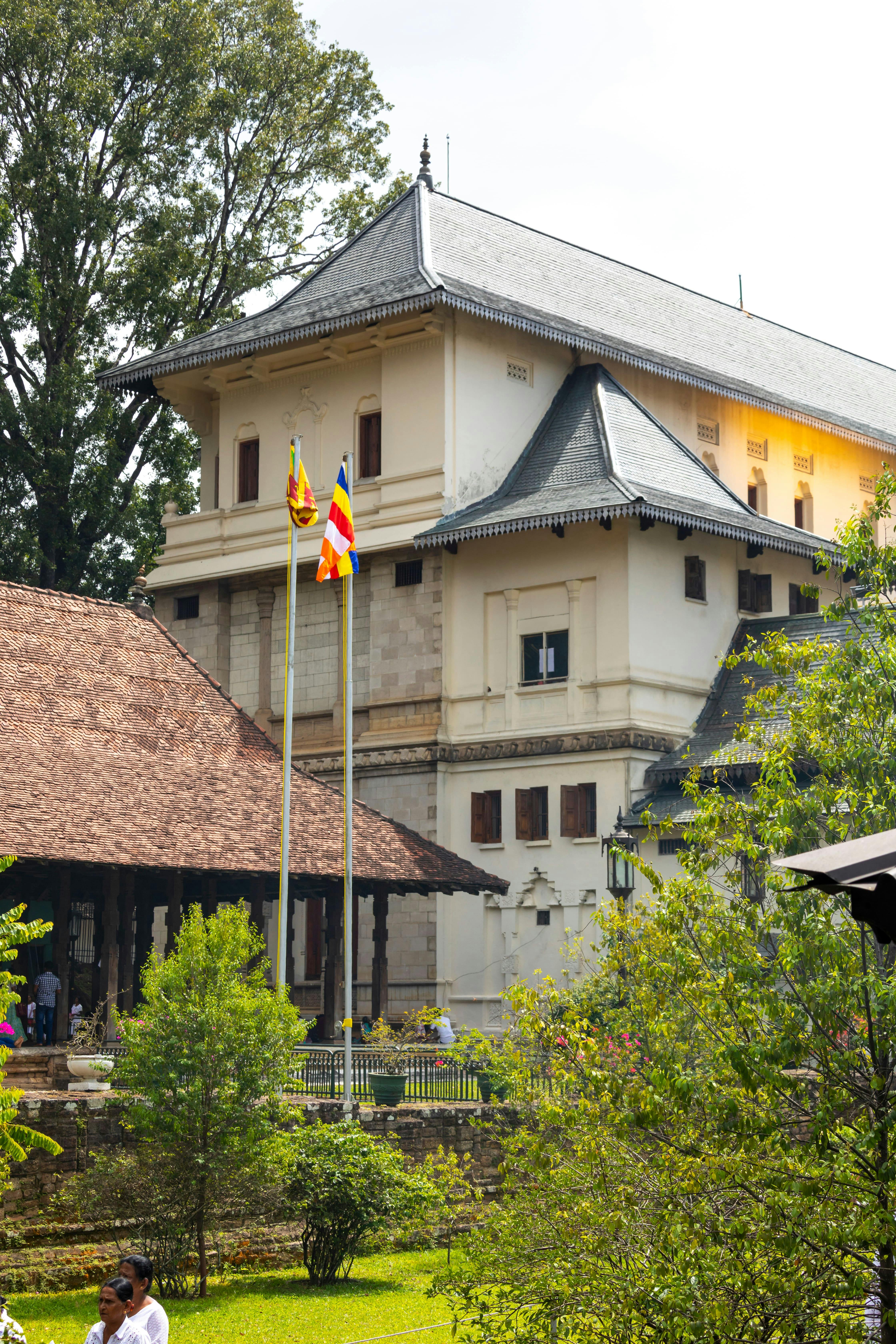 Kandy Tour by Train