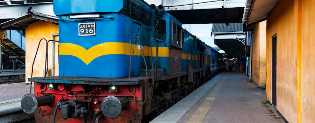 Journée de visite de Kandy en train