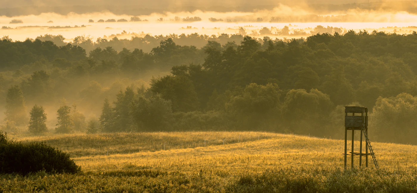 Sunrise over countryside in Hunter Valley NSW, Australia