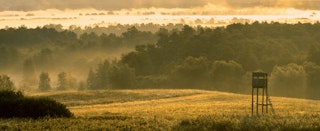 Hunter Valley NSW, Australia