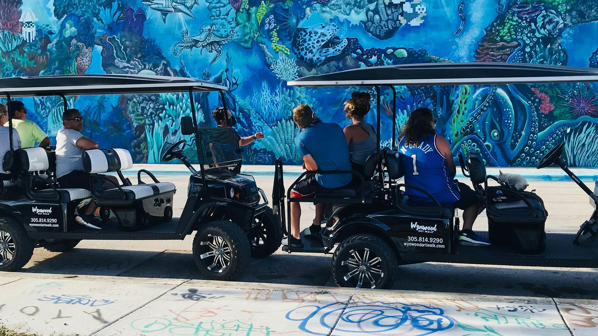 Excursão de carrinho de golfe com graffiti em Wynwood