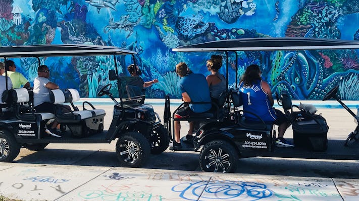 Excursão de carrinho de golfe com graffiti em Wynwood