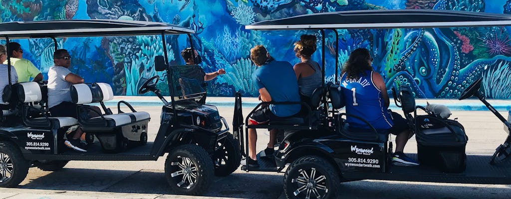 Tour del golf cart dei graffiti di Wynwood