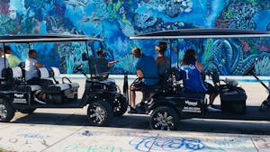 Wynwood: Tours and Guided Visits