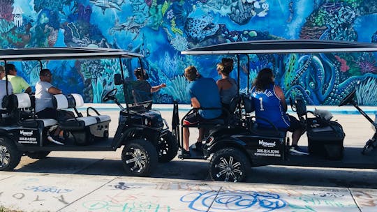 Wycieczka wózkiem golfowym z graffiti Wynwood