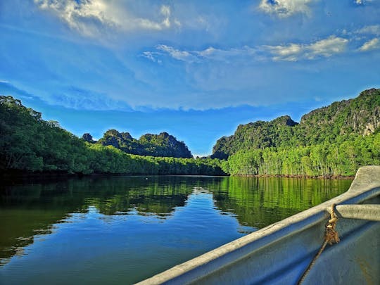 Crucero por el manglar al atardecer