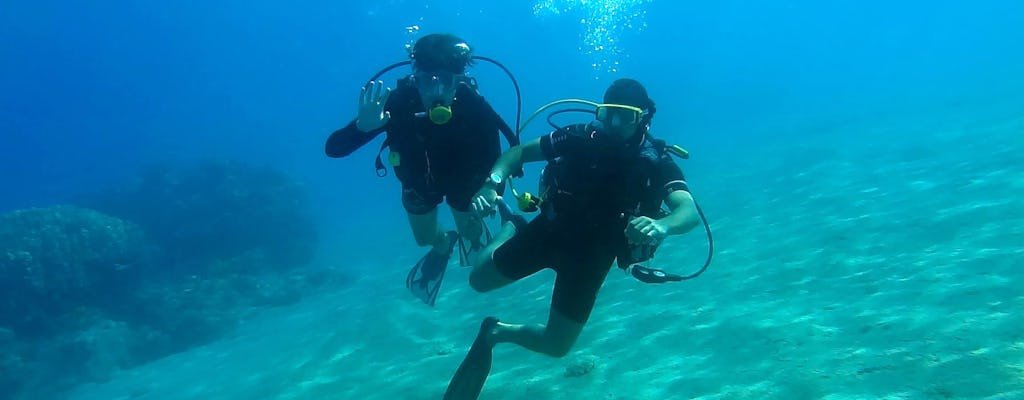 PADI beginner scuba diving session with transfer