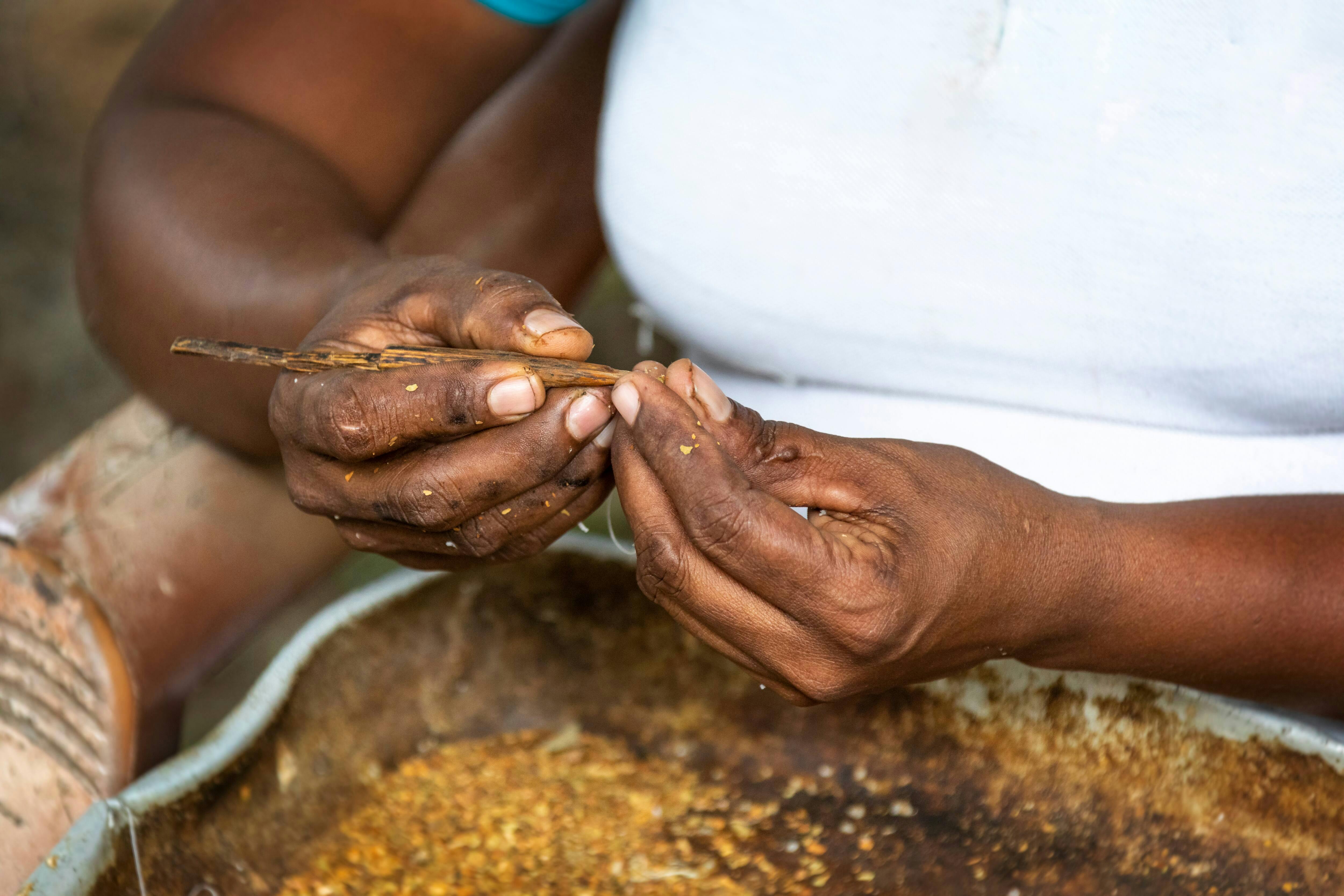 Agro Village Traditions