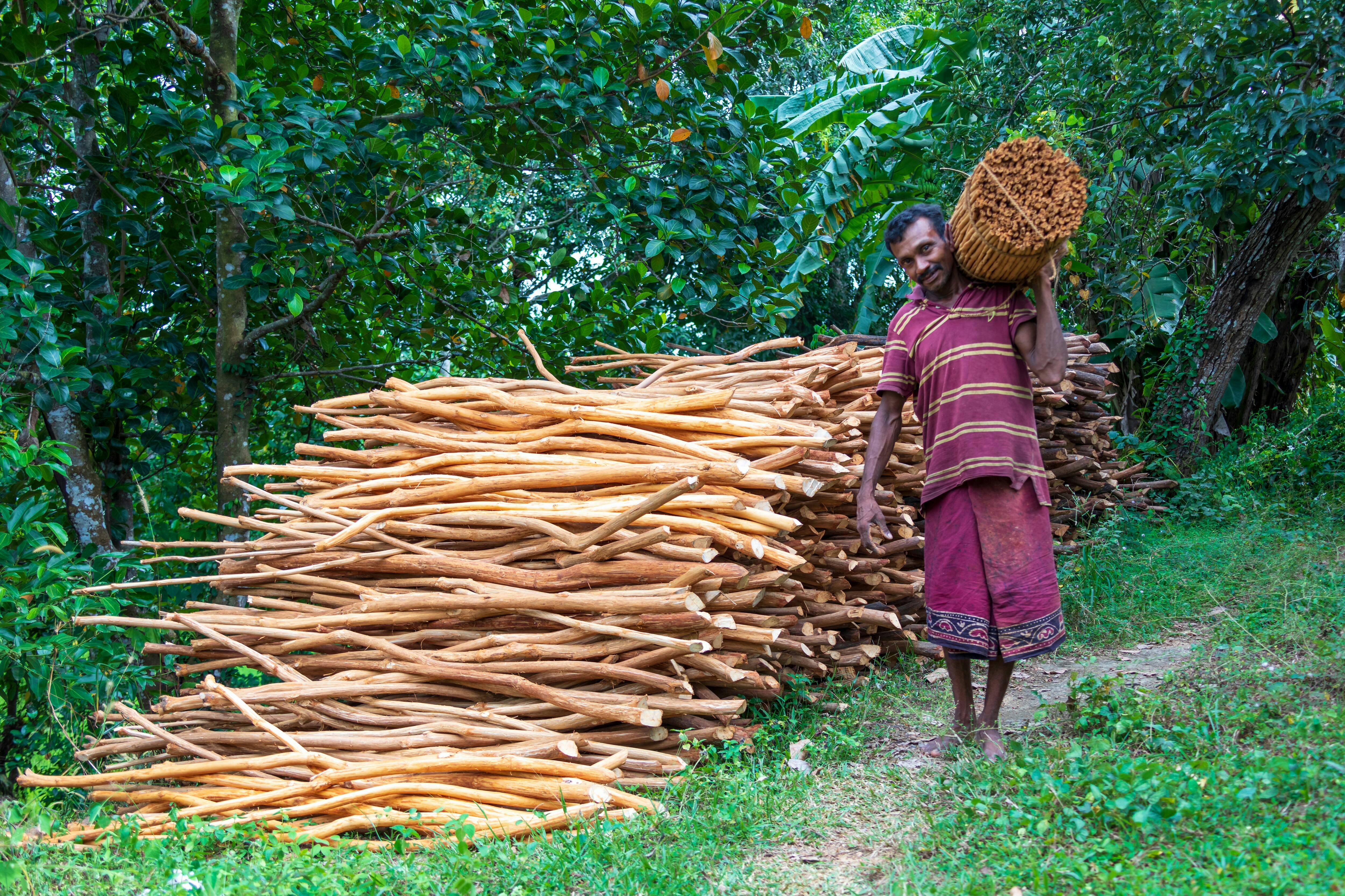 Agro Village Traditions