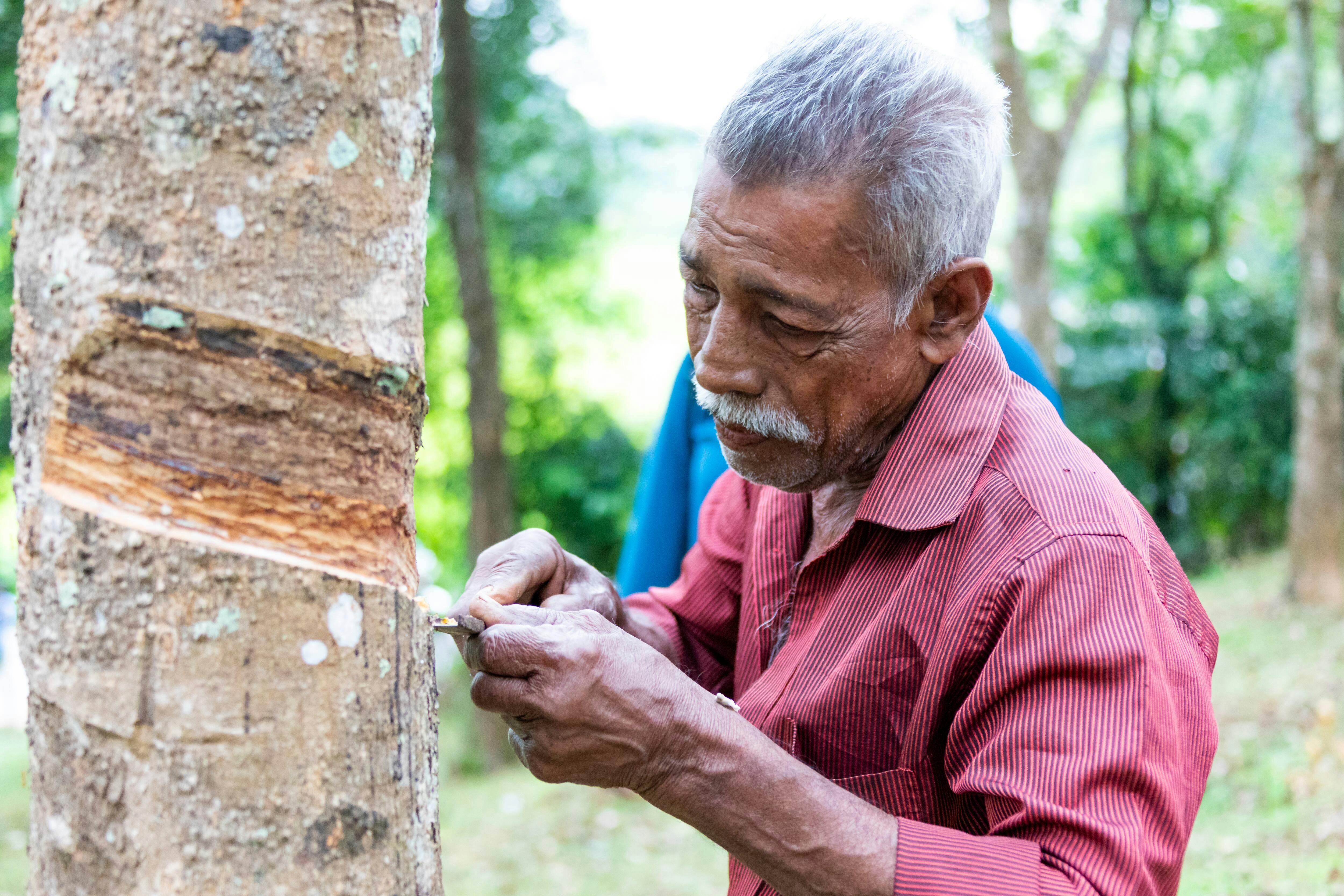 Agro Village Traditions