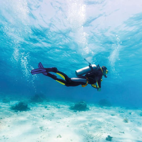 Descubre el buceo con Binibeca Diving