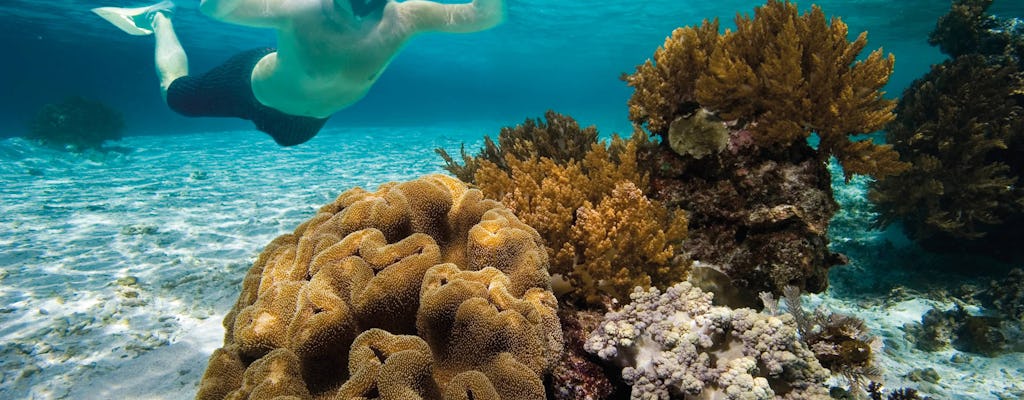 Menorca Binibeca one hour snorkel tour without transfer